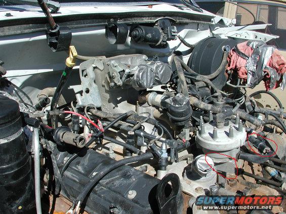 tfi-dist.jpg fender mount TFI distributor