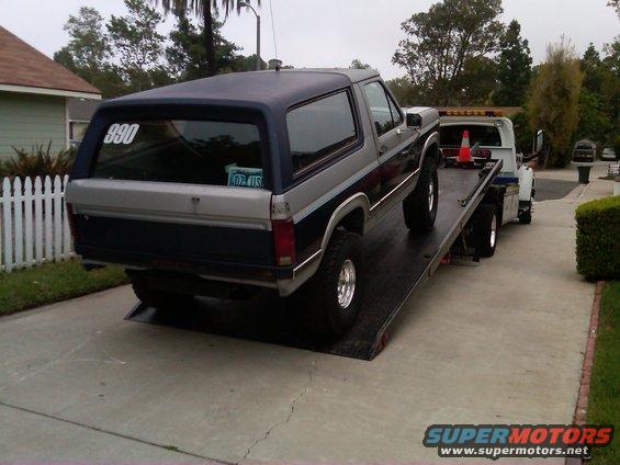 Ford Bronco on a tow truck flatbed, rear view. Number 890 on rear window