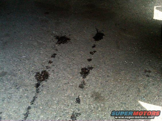 Oil stains on asphalt, with a portion of a white vehicle visible on the right