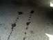 1986 Ford Bronco - Oil stains on asphalt indicate a potential leak from a vehicle.