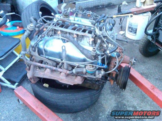 Engine on an engine stand, with a tire underneath. The engine is metallic with various hoses and wires attached