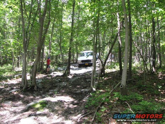 White van navigating a wooded trail