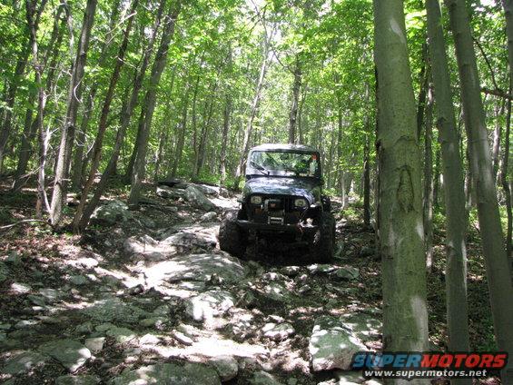 Dark blue Jeep Wrangler on a rocky, wooded trail