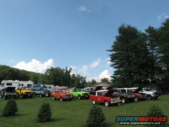Several Ford Broncos and other vehicles parked on a grassy field with trees and a blue sky in the background. Some vehicles have hoods open