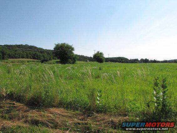 Dark SUV parked in a grassy field with trees and hills in the background