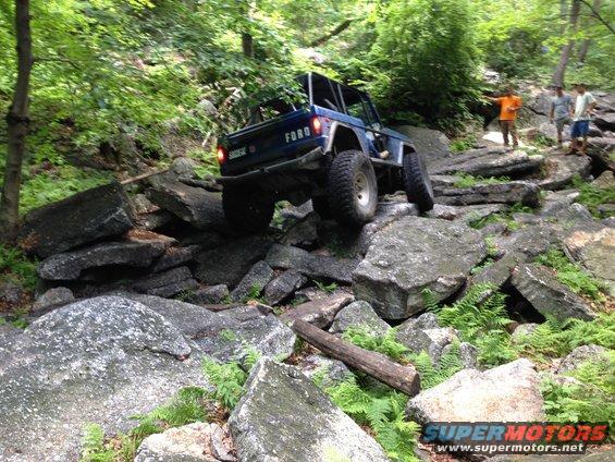 Blue Ford Bronco navigating a steep, rocky incline with trees and ferns