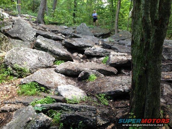 Rocky trail with a person in the distance, surrounded by trees