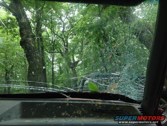 Interior view through cracked windshield of a vehicle in a wooded area