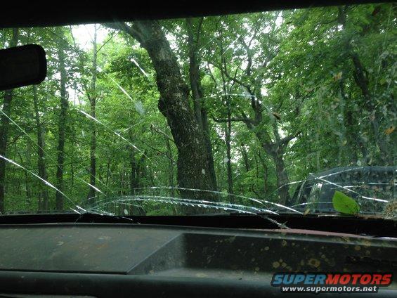 View through a cracked windshield of a forest with trees and foliage. A dark vehicle is partially visible to the right