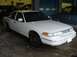 1997 Ford Crown Victoria - A white 1997 Ford Crown Victoria is parked indoors, showing its front and side profile.