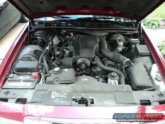 2004 Mercury Grand Marquis engine bay with hood open. V8 engine, battery, and various hoses visible