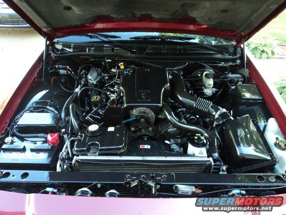 Red 2004 Mercury Grand Marquis engine bay with a clean engine and open hood