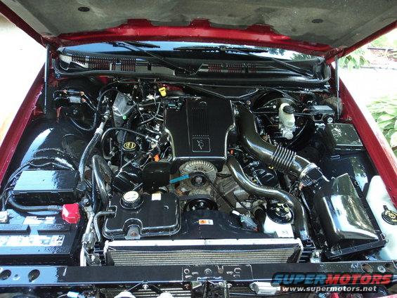 Engine bay of a 2004 Mercury Grand Marquis, showing the V8 engine, battery, and radiator