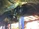 1988 Ford Bronco - Close-up view of the steering gear and suspension components from underneath a vehicle.