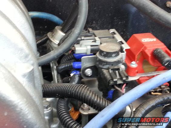 Engine bay with various electrical components, hoses, and wiring. A red MSD ignition coil is visible