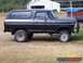 1978 Ford Bronco - A black 1978 Ford Bronco sits on a grassy field, showing its side profile and aftermarket wheels.