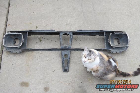 Car headlight surround with a cat sitting next to it. Date stamp says 07/15/2014