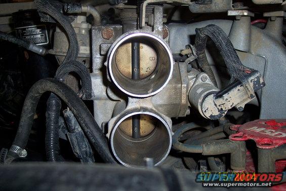 Engine throttle body with dual openings and visible internal butterfly valves