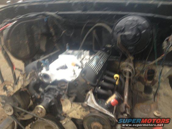 Engine bay with V8 engine components visible