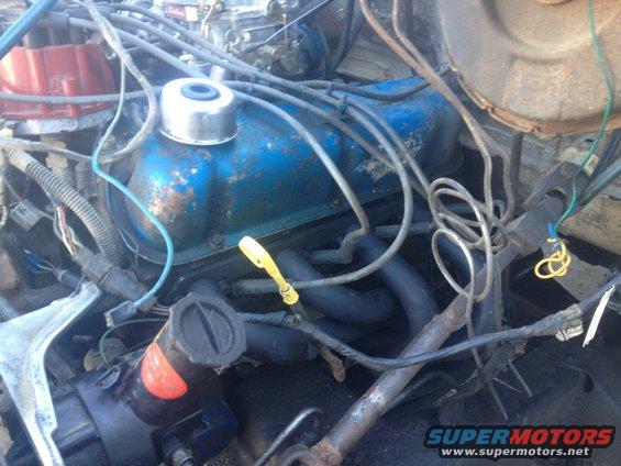 engine bay with blue valve covers, spark plug wires, and exhaust manifold