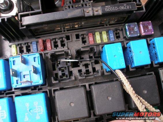 wire-ready-to-insert-relay-onto.jpg 
