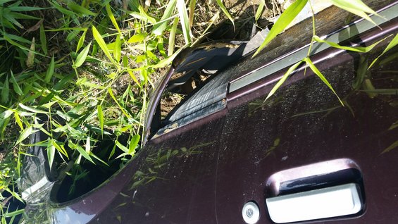 Car door handle and window trim overgrown with grass