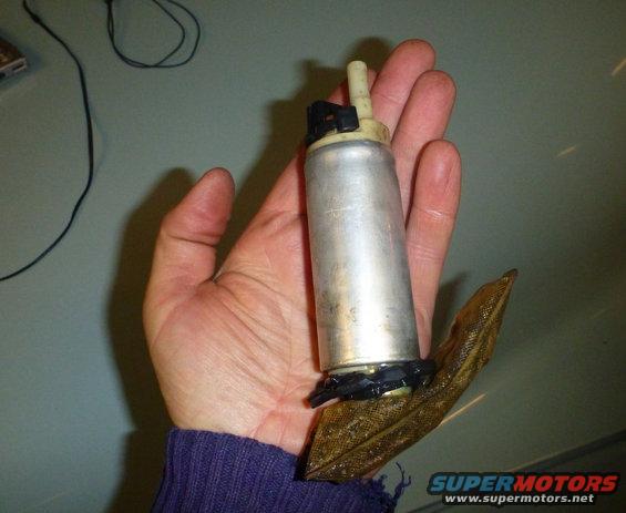 Hand holding a fuel pump with a filter sock attached
