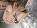 1978 Ford Bronco - Rusty rear axle and brake assembly, showing brake drum and wheel studs. Supermotors.net logo is visible.