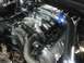 2004 Ford Crown Victoria - New TFS Cam Covers Installed.