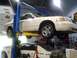 2004 Ford Crown Victoria - A white 2004 Ford Crown Victoria is elevated on a car lift in a garage, with another vehicle beneath it.