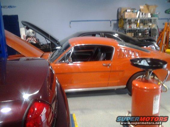 img_20140723_162342.jpg Fastback sitting and lurking.