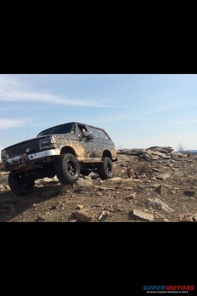 1995 Ford Bronco photo