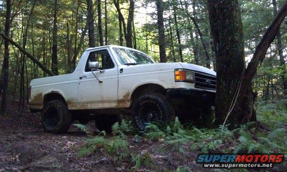 White 1990 Ford Bronco navigating a wooded trail, tires on dirt and foliage