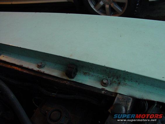 1969 Ford Torino hood edge and engine bay detail