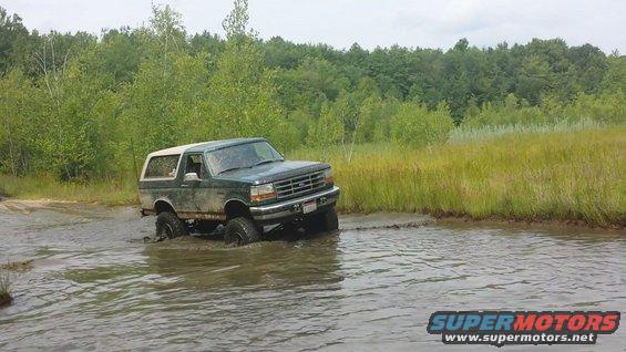 Green 1996 Ford Bronco driving through shallow water, trees and tall grass in background