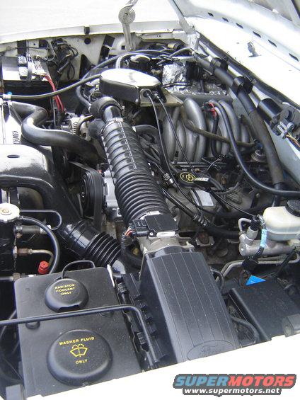 Engine bay with V8 engine, air intake, and fluid reservoirs