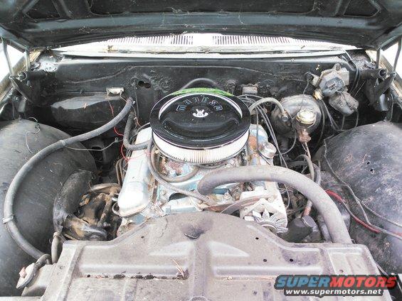 engine bay with V8 engine, air cleaner reads 'MANTA'