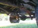 1979 Ford Bronco - Undercarriage view of a vehicle, focusing on the rear axle and suspension components.