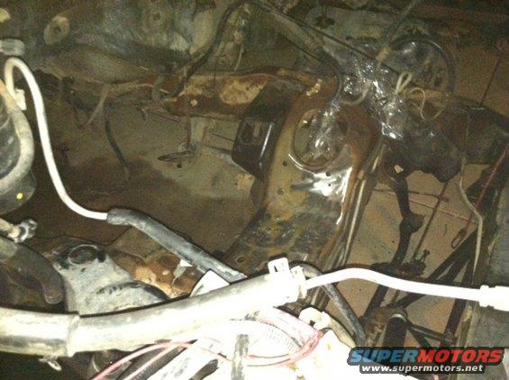 Engine bay with hoses and wiring