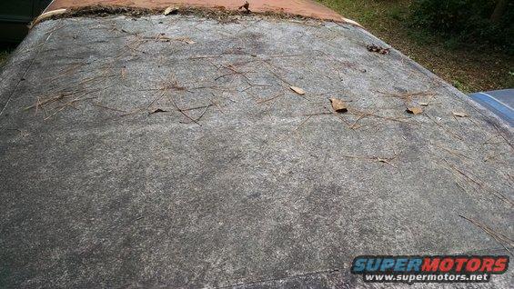 Top of a weathered vehicle roof with pine needles scattered on it