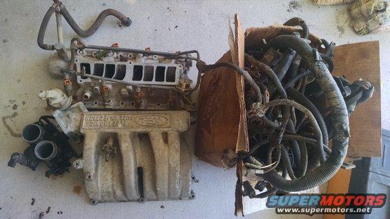 Ford fuel injection engine manifold with hoses and wiring