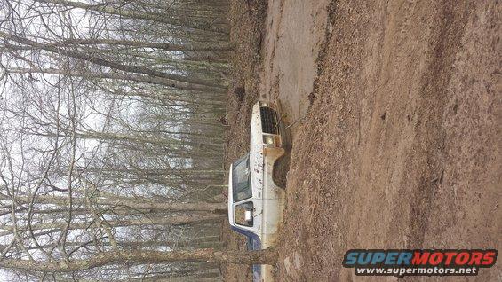White pickup truck stuck in a muddy ditch with trees on the side