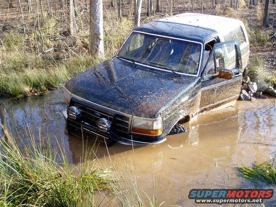 p1130055.jpg Another shot of her.