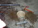 1992 Ford Bronco - Parts of a shock absorber, along with tools and a bucket, are laid out on a wet concrete floor.