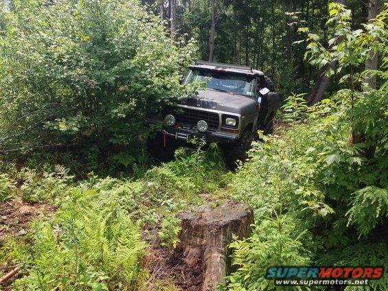 1979 Ford Bronco 3q-front view navigating wooded trail