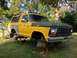 1979 Ford Bronco - This 1979 Ford Bronco is elevated on jack stands, revealing its chassis and suspension components.