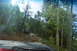 1983 Ford Bronco - An SUV navigates a challenging, rocky path through a dense forest.