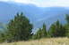 1983 Ford Bronco - A vast mountain vista unfolds, with dense pine forests and rolling hills under a hazy sky.