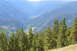 1983 Ford Bronco - View of a valley from a mountainside, with pine trees obscuring part of the landscape.