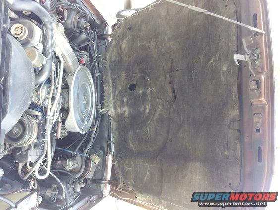 1980 Ford Mustang engine bay with hood insulation visible